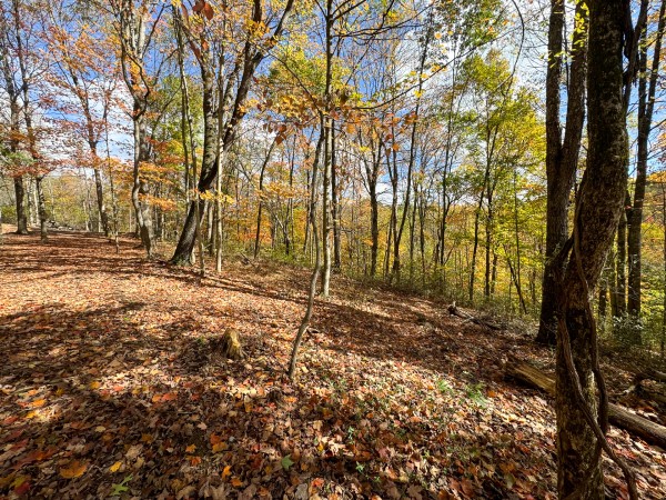 Tract 8 at Shawnee Woods property photo
