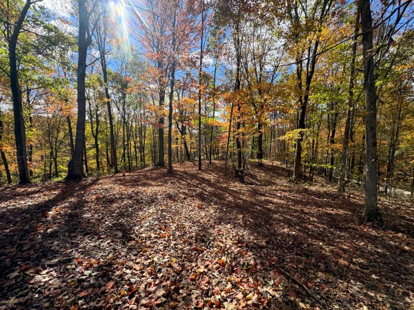Tract 8 at Shawnee Woods property photo