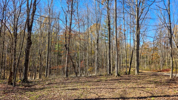 Tract 8 at Shawnee Woods property photo