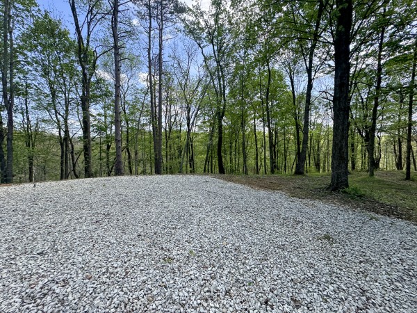 Tract 8 at Shawnee Woods property photo