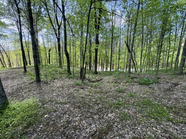 Tract 8 at Shawnee Woods property photo