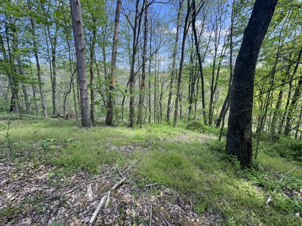 Tract 8 at Shawnee Woods property photo