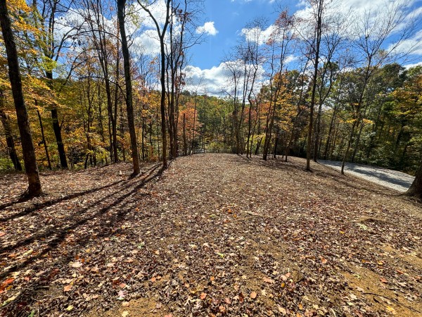 Tract 8 at Shawnee Woods property photo