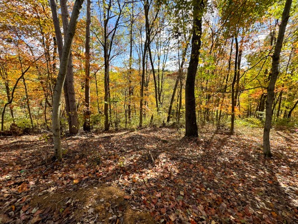 Tract 8 at Shawnee Woods property photo