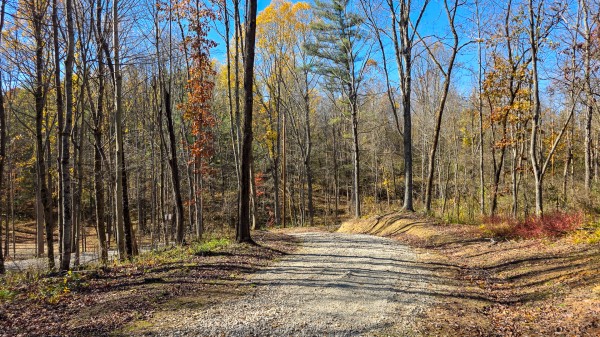 Tract 8 at Shawnee Woods property photo