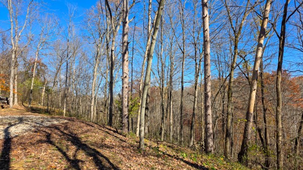 Tract 8 at Shawnee Woods property photo