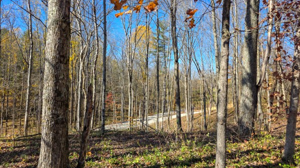 Tract 8 at Shawnee Woods property photo