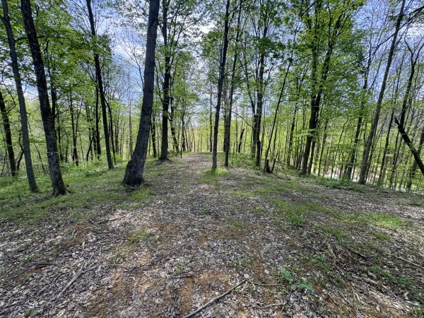 More of Tract 8 at Shawnee Woods