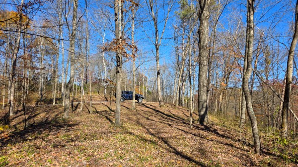 More of Tract 8 at Shawnee Woods