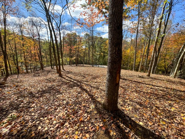 Tract 8 at Shawnee Woods property photo
