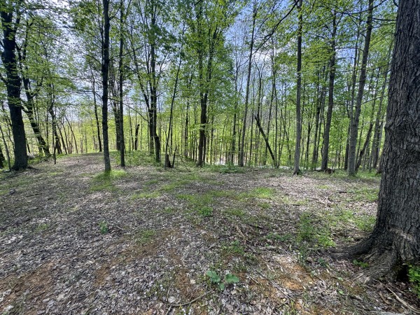 Tract 8 at Shawnee Woods property photo