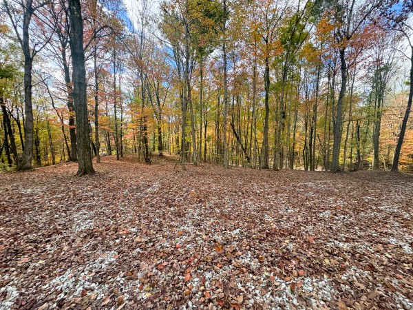 Tract 8 at Shawnee Woods property photo