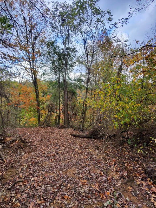 Tract 7 at Shawnee Woods property photo
