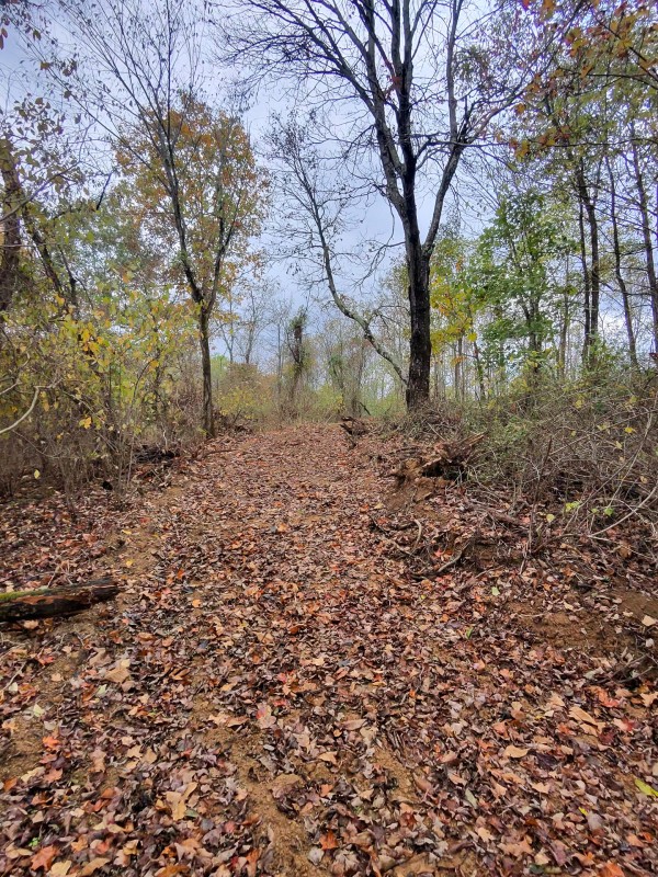 Tract 7 at Shawnee Woods property photo