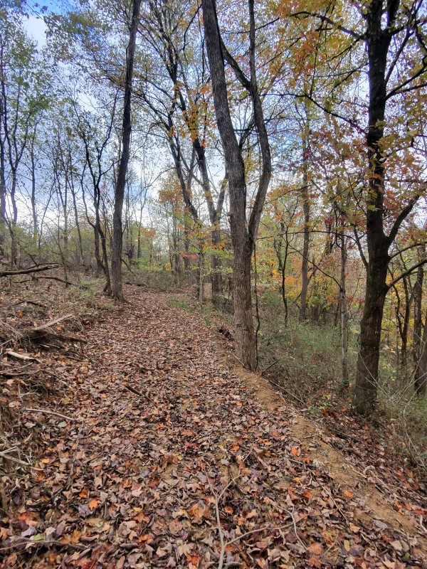 Tract 7 at Shawnee Woods property photo