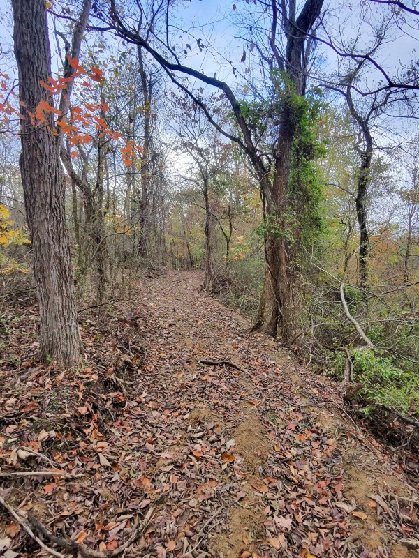 Tract 7 at Shawnee Woods property photo