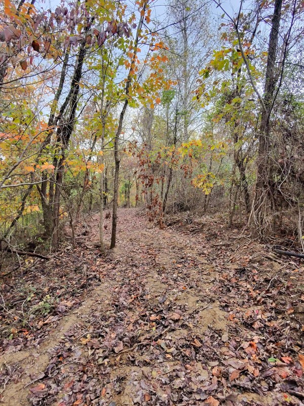 Tract 7 at Shawnee Woods property photo