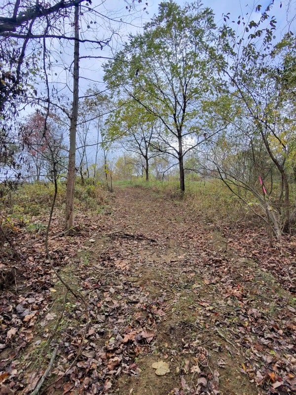 Tract 7 at Shawnee Woods property photo