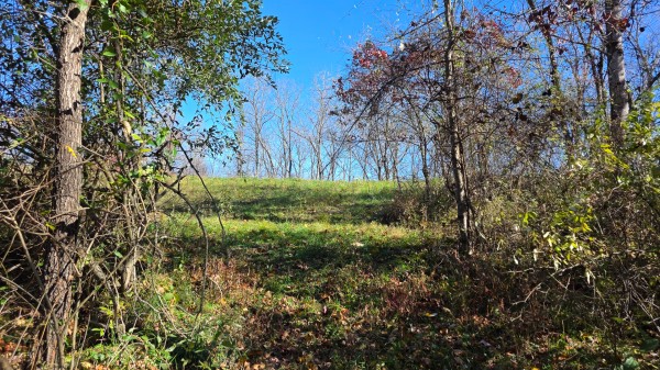 Tract 7 at Shawnee Woods property photo