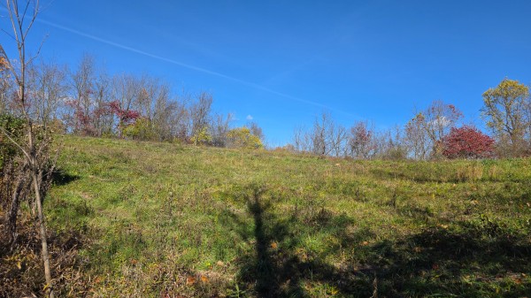 Tract 7 at Shawnee Woods property photo