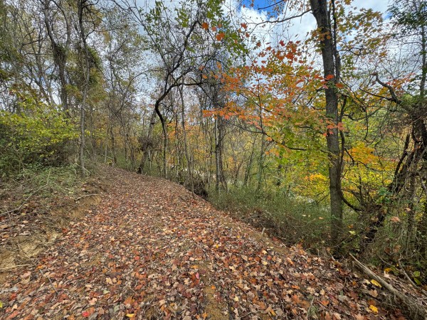 Tract 7 at Shawnee Woods property photo