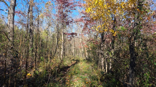 Tract 7 at Shawnee Woods property photo