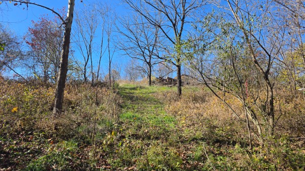 Tract 7 at Shawnee Woods property photo