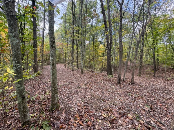 Tract 6 at Shawnee Woods property photo