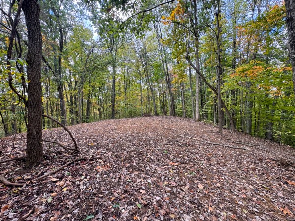Tract 6 at Shawnee Woods property photo