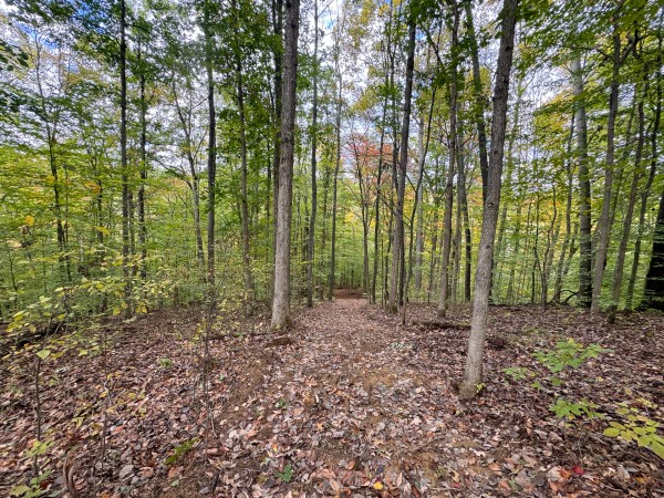 Tract 6 at Shawnee Woods property photo