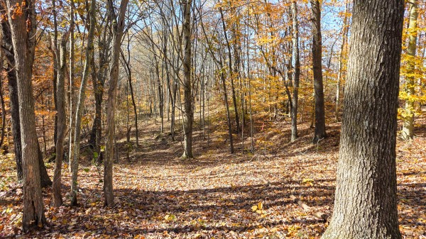 Tract 6 at Shawnee Woods property photo