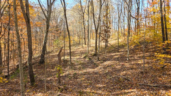Tract 6 at Shawnee Woods property photo