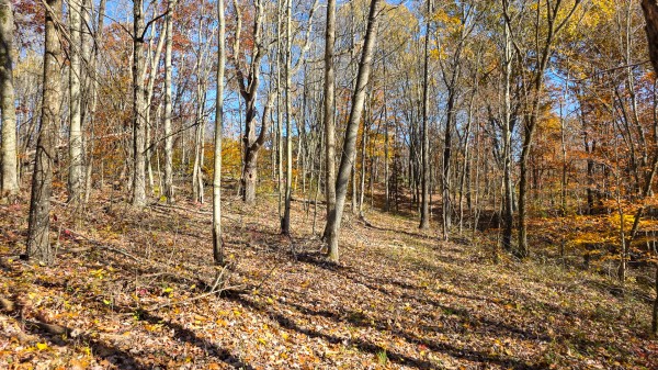 Tract 6 at Shawnee Woods property photo