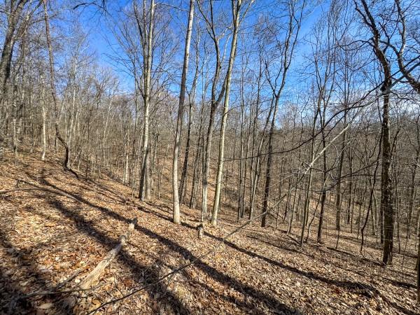 Tract 6 at Shawnee Woods property photo
