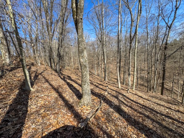 Tract 6 at Shawnee Woods property photo