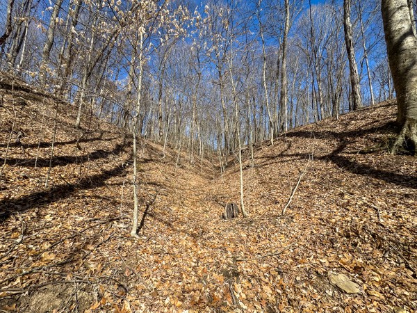 Tract 6 at Shawnee Woods property photo
