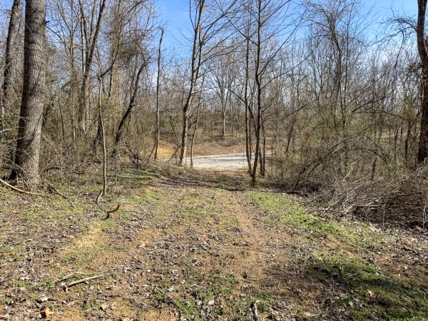 Tract 6 at Shawnee Woods property photo
