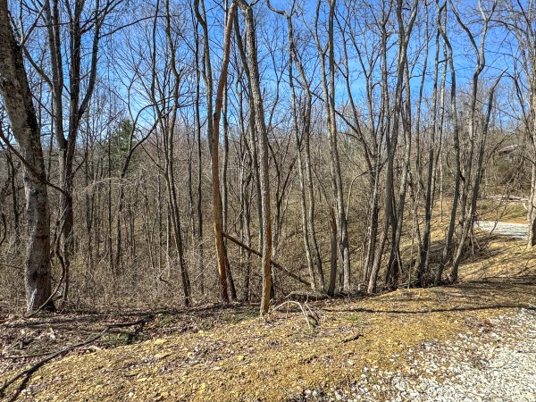 Tract 6 at Shawnee Woods property photo