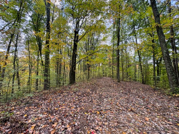Tract 6 at Shawnee Woods property photo