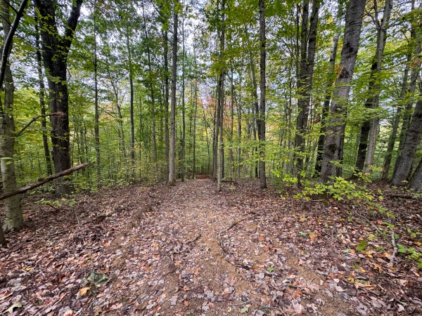 Tract 6 at Shawnee Woods property photo