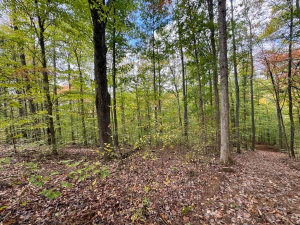 Tract 6 at Shawnee Woods property photo