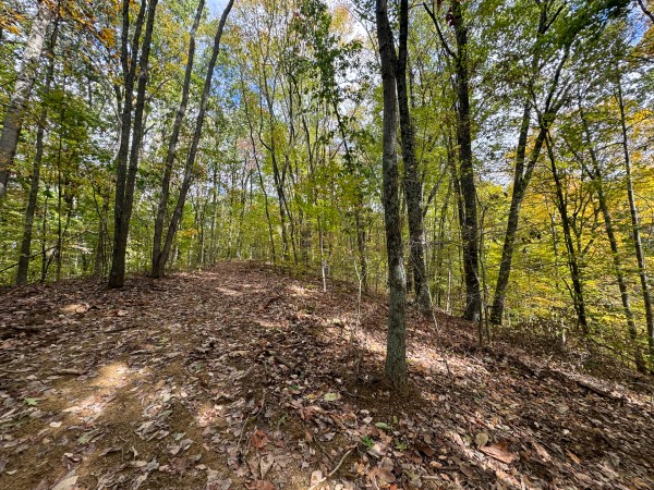 Tract 6 at Shawnee Woods property photo
