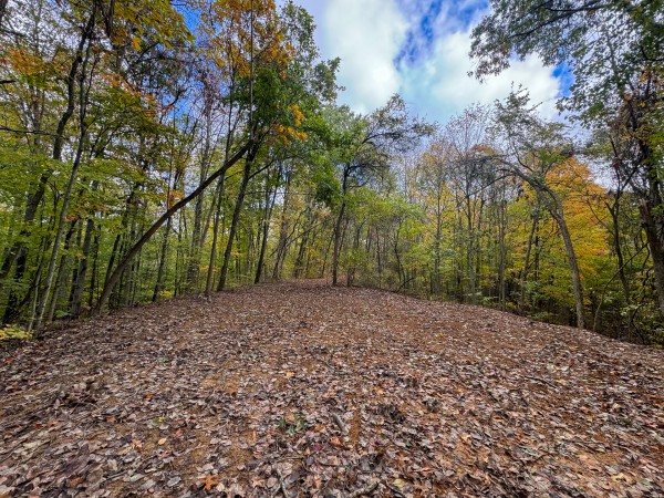 Tract 6 at Shawnee Woods property photo