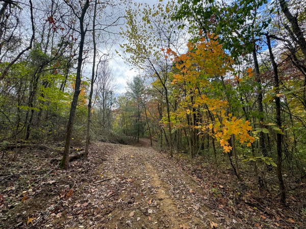 Tract 6 at Shawnee Woods property photo