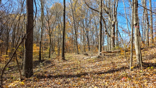 Tract 6 at Shawnee Woods property photo