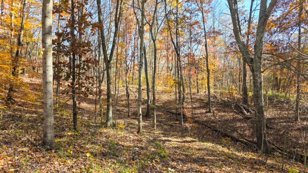 Tract 6 at Shawnee Woods property photo