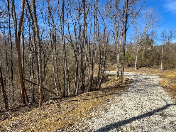 Tract 6 at Shawnee Woods property photo