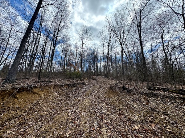 Tract 9 at Skyline Acres property photo