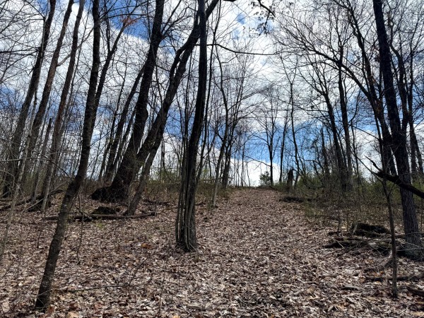 Tract 9 at Skyline Acres property photo