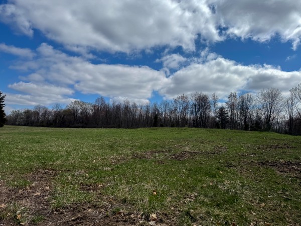 Tract 9 at Skyline Acres property photo
